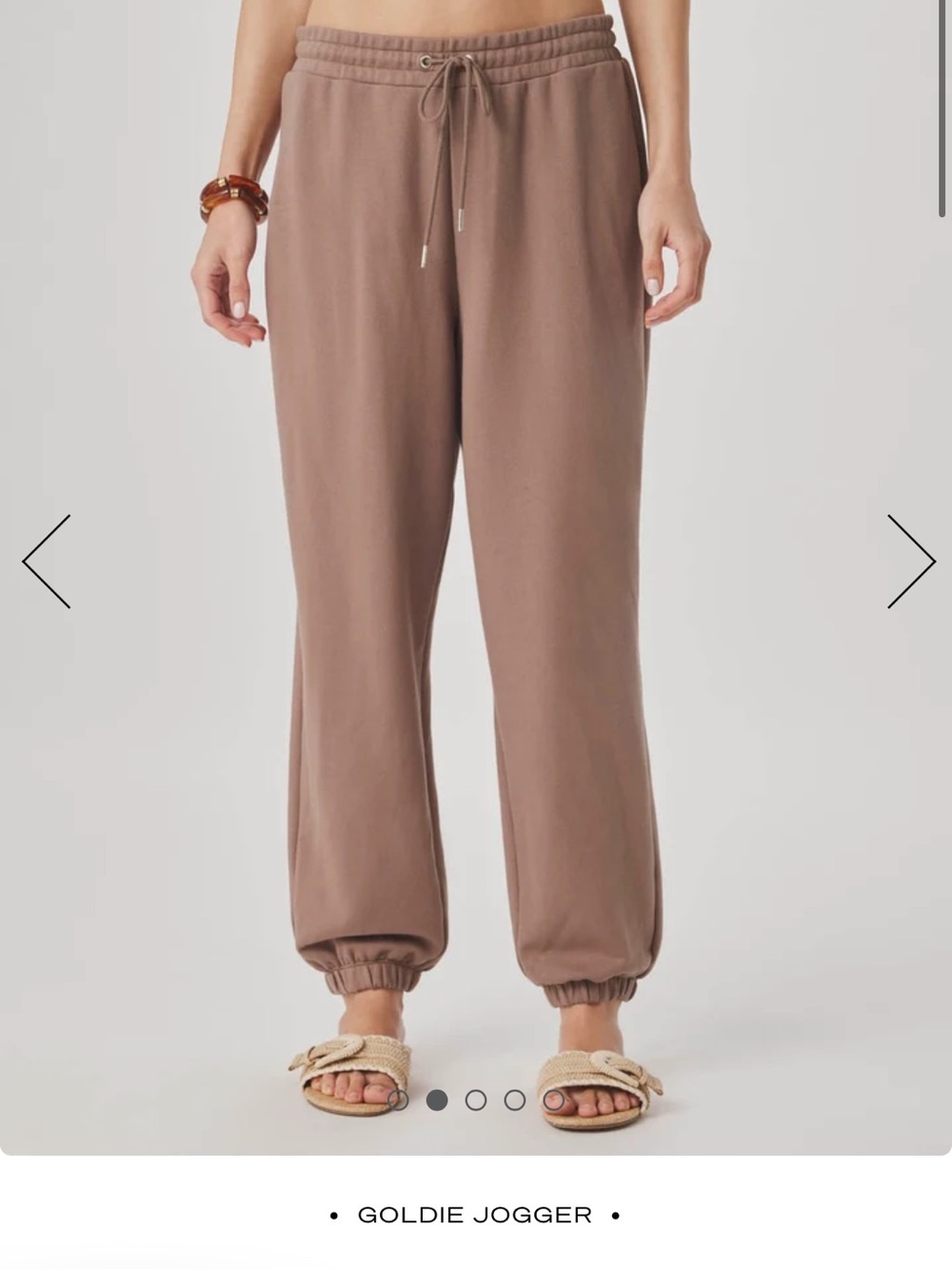 Splendid Taupe Drawstring Joggers